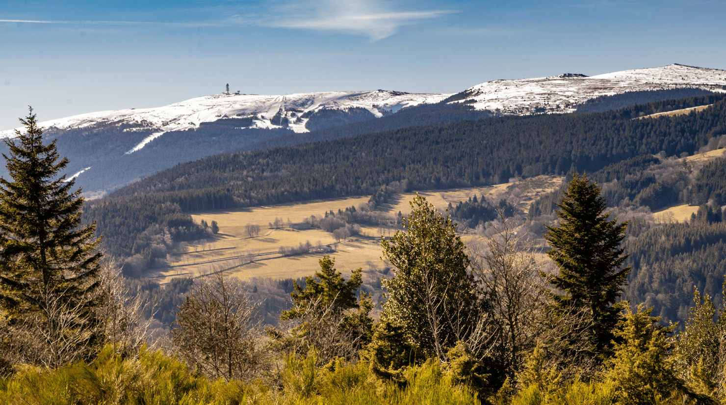 Loire Forez Agglomération