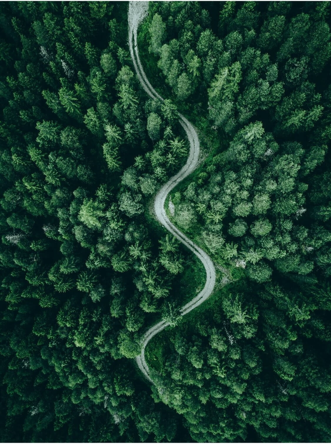 Etude mobilité Pizzorno Environnement